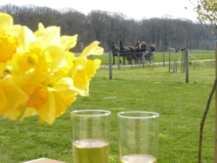 De Zevende Zon Bed & Breakfast Poperinge Eksteriør bilde